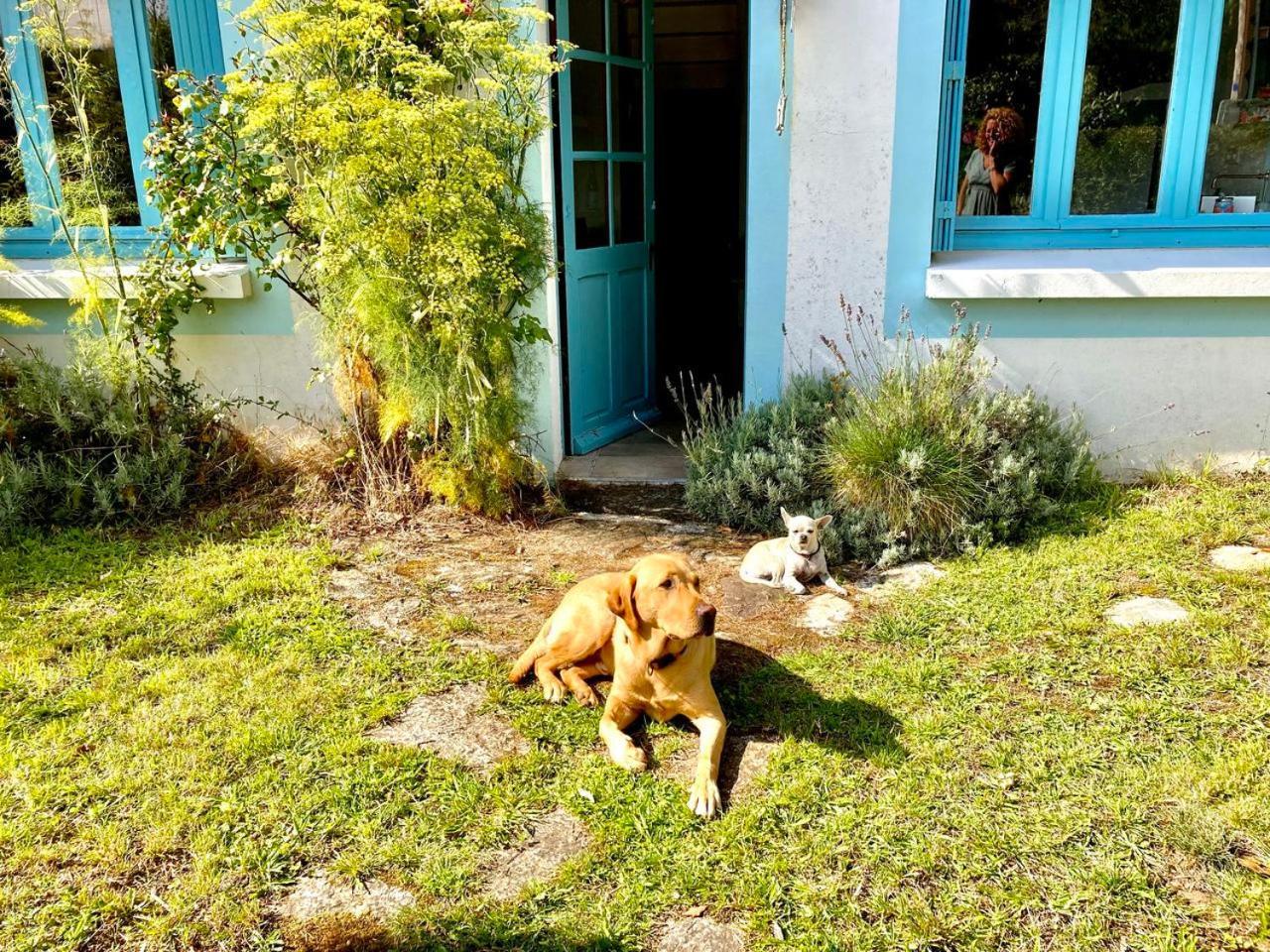 Villa Penty LEGONA, authentique et chaleureux, 2-6 pers à Moëlan-sur-Mer Extérieur photo